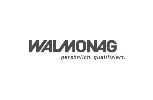 WordPress Swiss Logo Walmonag AG