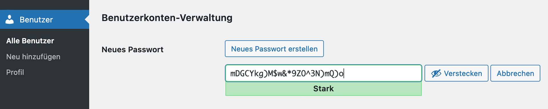 Passwort-Generator in WordPress